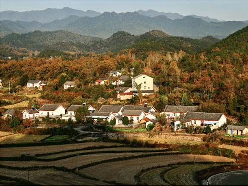 未标题-10.jpg