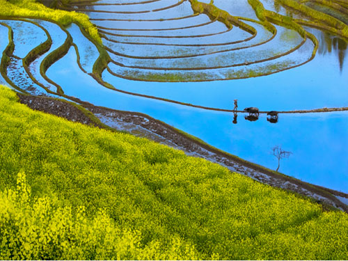 未标题-7.jpg