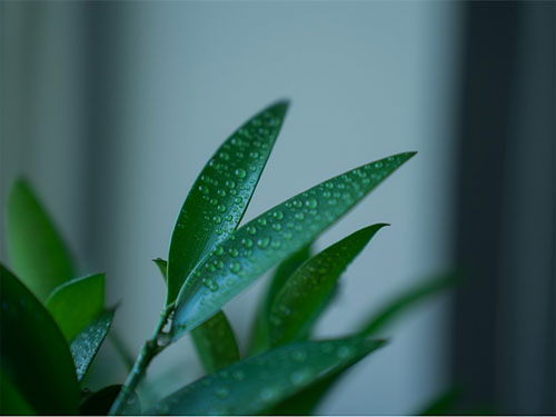 未标题-1.jpg