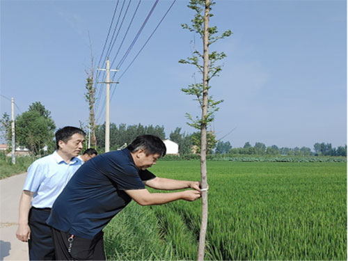 未标题-6.jpg