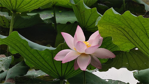 未标题-8.jpg