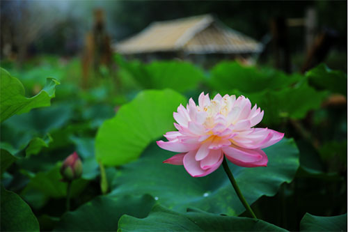 未标题-5.jpg
