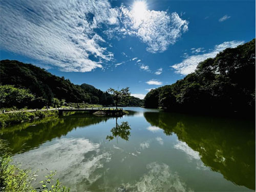未标题-6.jpg