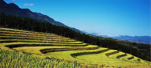 未标题-5.jpg