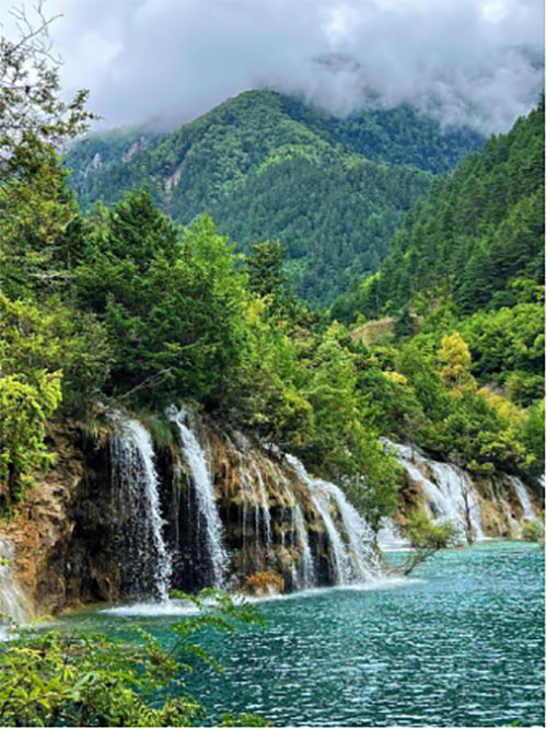 未标题-11.jpg