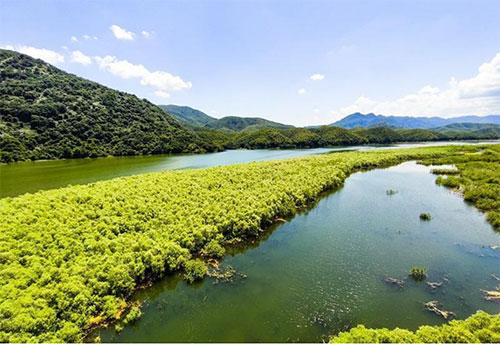 未标题-4.jpg