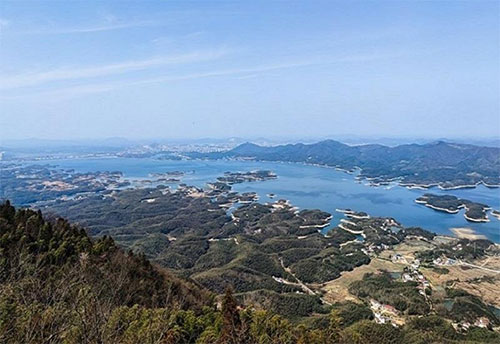 未标题-5.jpg