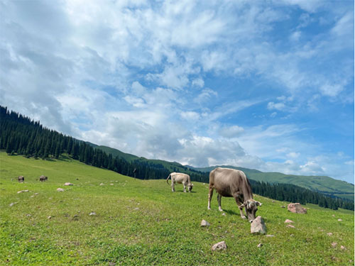 未标题-4.jpg