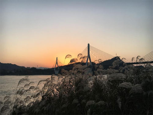 未标题-2.jpg
