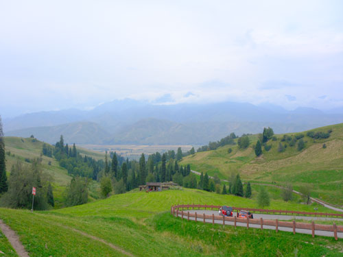 W020241210329822594990-500.jpg