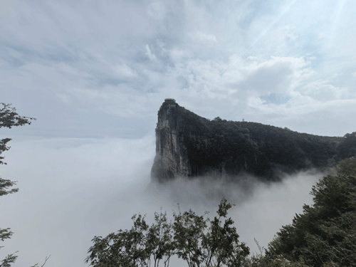 W020251017318238415273-500.gif