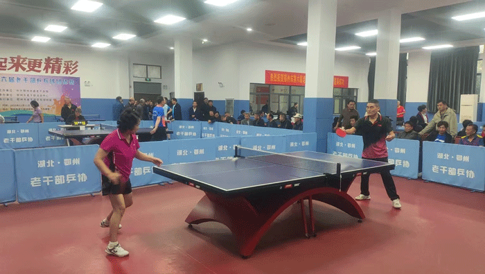 湖北鄂州市审计局退休老干部在市第六届 老干部乒乓球比赛中展现风采荣获佳绩