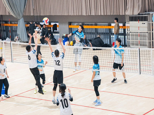 江苏省南通市启东市审计局在该市气排球比赛中获铜牌