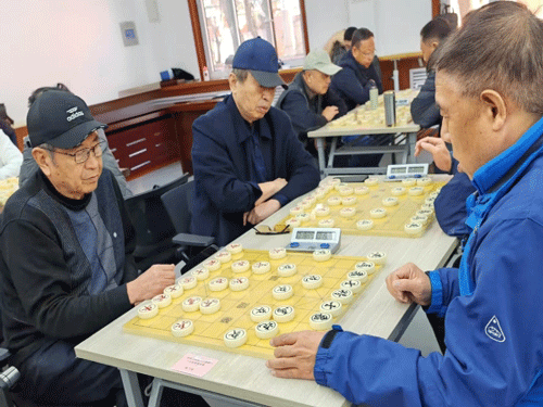 喜报！山东省济南市审计局在全市离退休干部象棋比赛中获奖