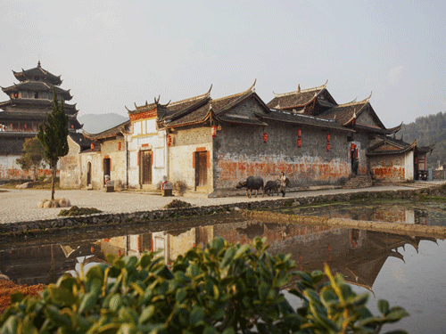 旧墙红联映水，水牛踩碎古厝影