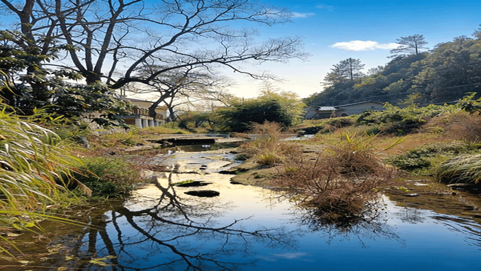 散文《水痕与账本：一个审计员的新店村遐思》