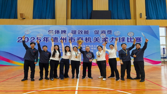 柔力逐梦，赛场扬威！山东省德州市审计局喜获柔力球比赛多个奖项