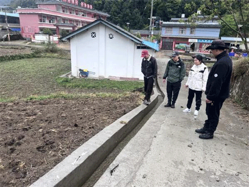 云岭逐光丨云南省迪庆藏族自治州维西傈僳族自治县审计局李文慧：忠诚铸审魂 匠心护国资