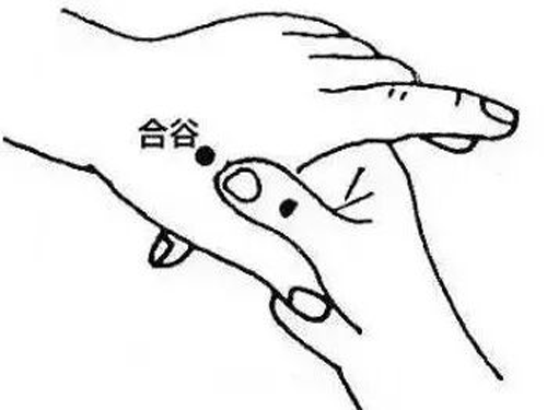 今日小寒，三宜、三忌、三秘诀，过好寒冷15天！