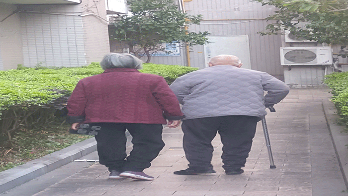 背影（现代诗）