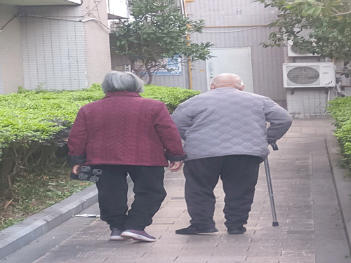 背影(现代诗) 背影(现代诗)