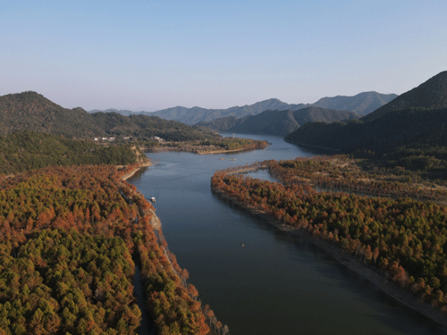 《层林尽染·皖南川藏线》