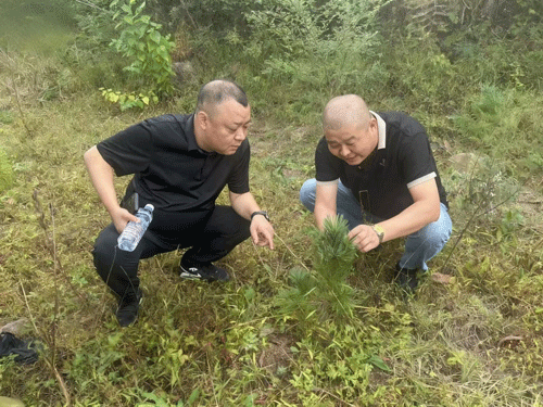 “双先”事迹展播 | 先进个人（五）