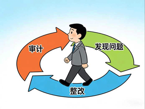 构建工作闭环 推动整改到位（漫画）